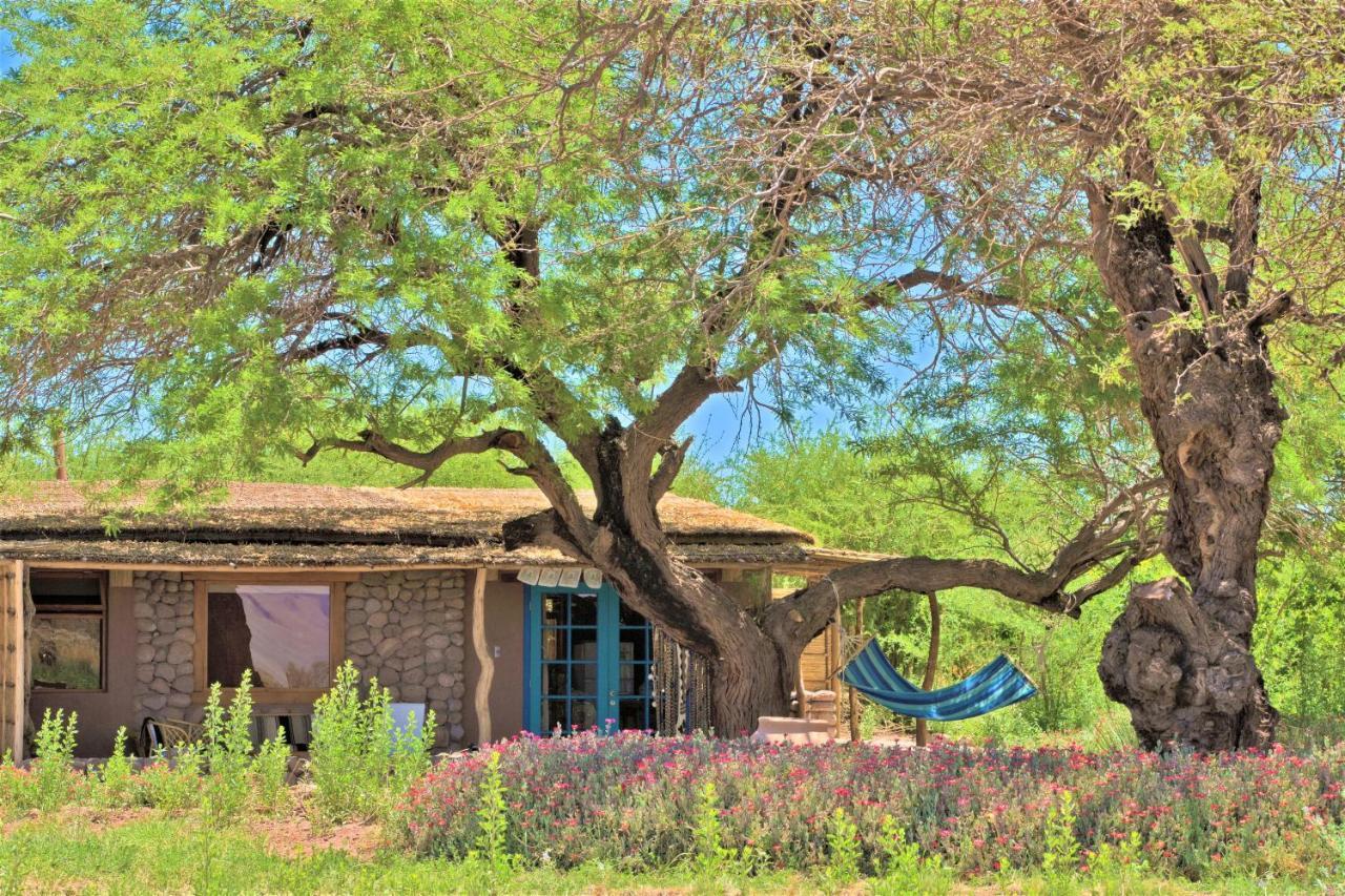 Villa Casita La Brea à San Pedro De Atacama Extérieur photo
