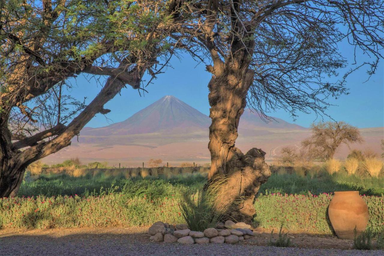 Villa Casita La Brea à San Pedro De Atacama Extérieur photo